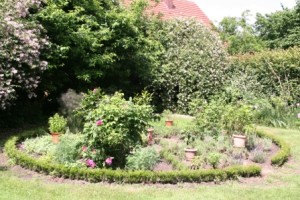 Kraeutergarten Juni 2016